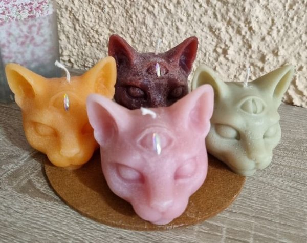 Chat 3° œil