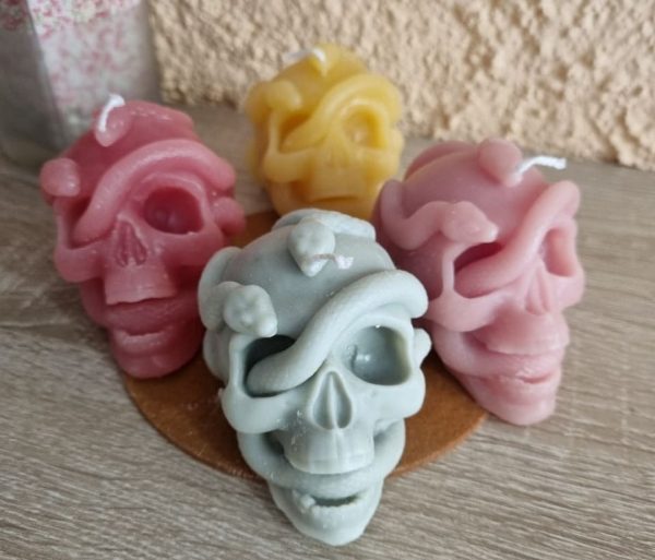 Tête de mort au serpent