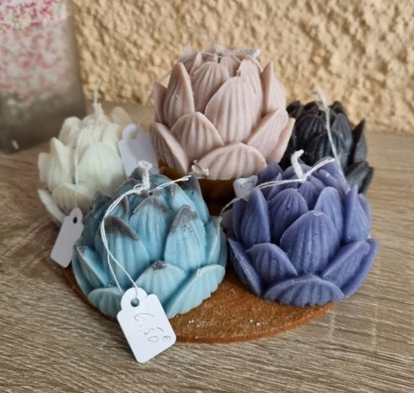 Fleur de Lotus