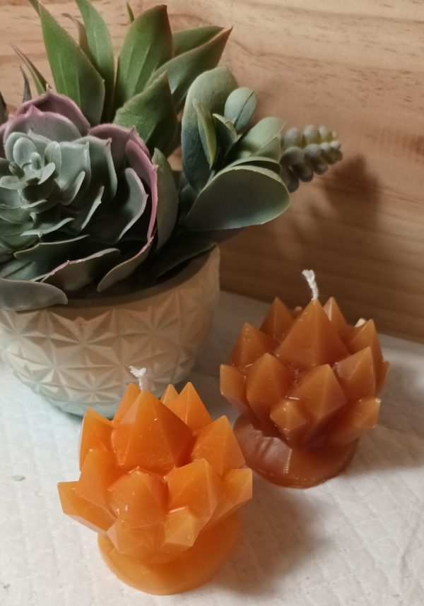 Fleur de Glace